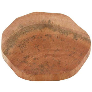 LveX^bO(CAPTAIN STAG) EbhuX EbhOR[X^[ UP2600