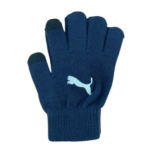 v[} X|[c O[u 042126( TbJ[ tbgT  jOO[u h g[jOO[u ~ߕt  PUMA )