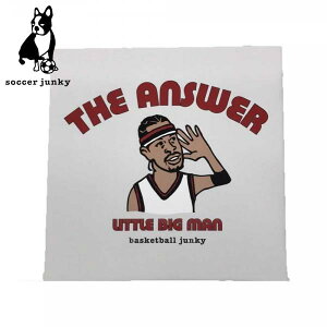 �T�b�J�[�W�����L�[ basketball junky �A�[�g�p�l�� THE ANSWER BSK23E67