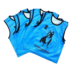 サッカージャンキー チーム分け ビブス10着セット(No2-11) CP24D83( サッカー フットサル ビブス セット 10着 10枚セット キッズ ジュニア 子供 大人 スポーツ用 ゼッケン メッシュ バスケ チーム