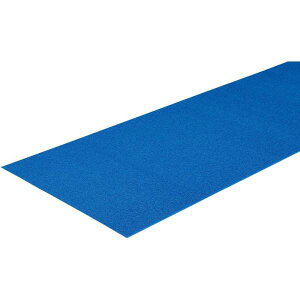 g[GCCg _C}bgCN600 T2406B