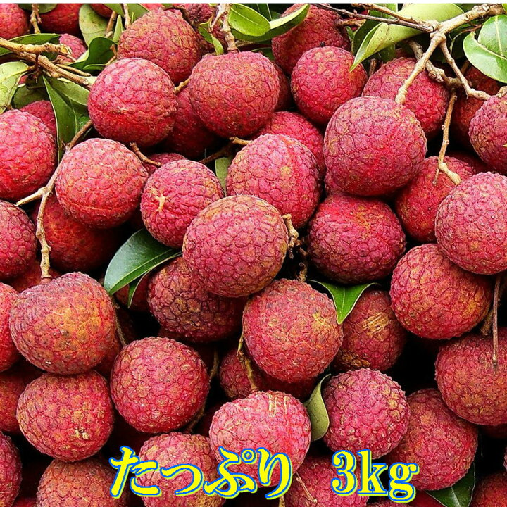 楽天市場 ライチ 台湾ライチ フレッシュライチ 黒葉ライチ３ｋｇ フルーツ 台湾フルーツ レイシ 新鮮果実 送料無料 生ライチ 冷凍していません お届けは6月中旬になります Rdストア 素敵なティータイム