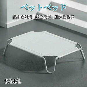 ybgxbh rt p Rbg ʋCQ Ȃ ʂǂ ybgpi Lvxbh  xbh nbN RpNg[ |[^u ^ xbh Lv ې􂢉\ 