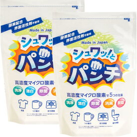 月間優良ショップ受賞店シュワッ！とパンチ 2パック(1kg×2) 洗浄剤 除菌 漂白剤 消臭 掃除 洗剤 マルチクリーナー 浸け置き洗い 風呂掃除 洗濯