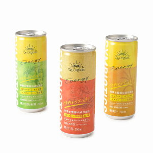 yVizy 15/e organic 15/e Symbiotics Energy eZbgz GiW[hN Gih  VRR100% mJtFC u[Xg_ ONE OK ROCK Takavf[X IN boost tBteB