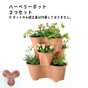 ストロベリーポットの人気商品 通販 価格比較 価格 Com