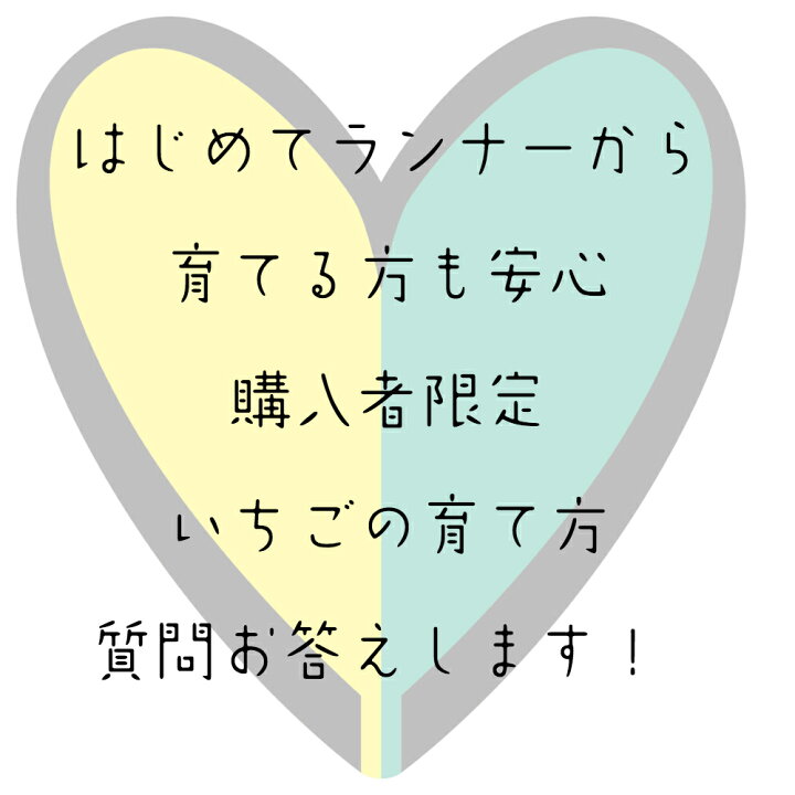 価格交渉ok送料無料 いちごランナー誘引ピン 10本セット Dprd Jatimprov Go Id