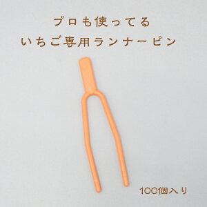 i[swҌTÿĕ₨܂Iz͂߂ĕcqĂKi/i[/͔|/͔|S/c/s/c~߂/U/_