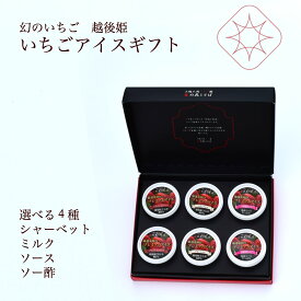 ギフトアイス　お歳暮に！ 内祝いに！アイスクリーム苺アイス6個入り選べる5種類苺シャーベット苺ミルク苺ソース苺ソース（酢）チーズギフト カップ 国産いちご 越後姫 高級 牛乳 安心安全定 内祝 贈り物 食品 グルメ＊ギフト箱アイス6個セット選べる4種