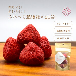 Dwq̂ Y@t[YhC䕁@"ӂƉzP"4g×10܁@100%YF hCt[c@A㉻w_sgphC䕔Dŵ//q