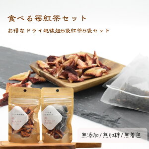 @5Zbg@̃eB[^CZbghCt[cghCgzPg 15g䕍g3g×4ZbgmtB^[^Cv]@