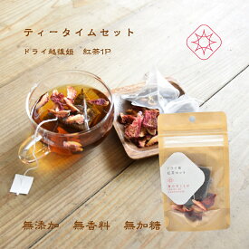 ドライフルーツ紅茶ドライいちご“越後姫“ 3gと苺紅茶2.5g［ティーパックタイプ]　 無添加/無加糖/無着色/無香料/紅茶ニルギリ/国産いちご/越後姫/定植後化学農薬不使用/ドライいちご/食べる紅茶/ドライフルーツ【定形外郵便】＊ドライ苺紅茶1P