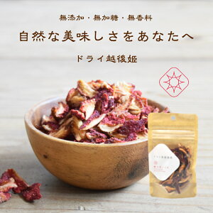 Dwq̂ɃhCt[c@hCgzPg 15g@100%YF ̃hCt[c@A㉻w_sgp̈SSȑɂȂhCDw