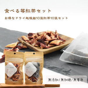 @10Zbg@̃eB[^CZbghCt[cghCgzPg 15g䕍g2.5g×4pZbgmtB^[^Cv]@