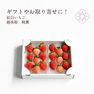 食べ比べいちごもぐもぐいちご越後姫桃薫約300g 1パック9〜15粒約150g×2入り 定植後化学農薬不使用 紅白…