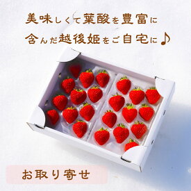【来シーズンの予約受付中】幻のいちご越後姫約360g 1パック9〜15粒約180g×2入り 安心安全定植後化学農薬不使用苺/お取り寄せ/自宅用/フルーツギフト/果物/農園直送/ストロベリー/ギフト/葉酸/越後姫/いちご＊ゆりC2つセット180g