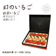 桃の味のするいちご桃薫　幻のいちご越後姫　ギフト雪国完熟いちご越後姫桃薫食べ比べセット約350g入り(…