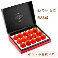 ギフト苺 幻のいちご ギフト雪国完熟いちご越後姫約300g入り（12〜18粒）定植後化学農薬不使用｜フルーツ…