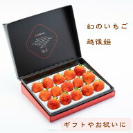 ギフト苺 幻のいちご ギフト雪国完熟いちご越後姫約350g入り（9〜18粒）定植後化学農薬不使用｜フルーツ…
