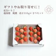 食べ比べいちごもぐもぐいちご越後姫桃薫約360g 1パック9〜15粒約180g×2入り 定植後化学農薬不使用 紅白…