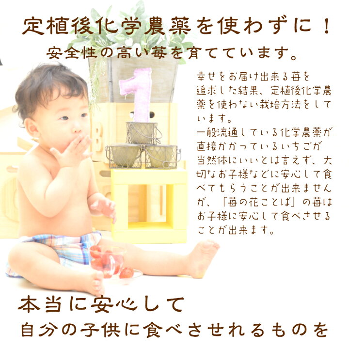 楽天市場 ギフト 全国送料無料 内祝いアイスクリーム苺アイス6個入り選べる4種類苺シャーベット苺ミルク苺ソース苺ソース 酢 ギフト カップ 国産いちご 越後姫 高級 牛乳 安心安全定 内祝 贈り物 食品 グルメ ギフト箱アイス6個セット選べる4種 苺の花ことば