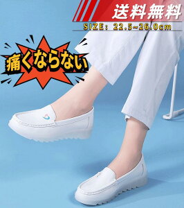   C  C  }}V[Y Oo ₷ E₷ wlC ʋC y _炩 ɂȂȂ Ȃ L JWA Ԏd ʋ hV̓ Mtg 傫