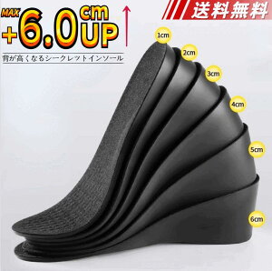 【 送料無料 】シークレットインソール 1.0cm〜6.0cm ハーフパッド 身長アップ 低反発記憶ソール 中敷き 衝撃吸収 軽量 メンズ 女性 男女兼用