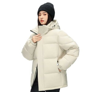 yzfB[X _EWPbg H~ h AE^[ t[ht E\ H |GXef  g y JWA  ʋ ʊw s AEghA V[g