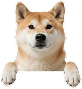 2 12x13cm Č 2Dtbgrj[fJ[ L[gł킢̃XebJ[  oCN gbN m[gp\Rp  Vv i h ό