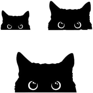 LXebJ[ 킢 ԗp  ① KX fR[V OZbg L3