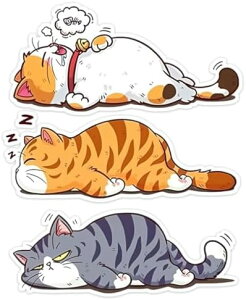 hrj[ԗpfJ[ Eop[p OfR[VANZT[ h~XebJ[ 3Zbg