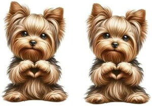 킢[NV[eAXebJ[ 11x15cm hPVCfJ[ ԁEgbNERṼIWifR[VɍœK  Mtg v[g