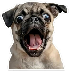 2 12.5x13cm ypOrj[XebJ[  gbN m[gp\R op[ EH[  i h ό y 