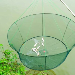 y RpNg  2 ނlbg  ߂  GrP[W Gr Jj  務ߊl  L[