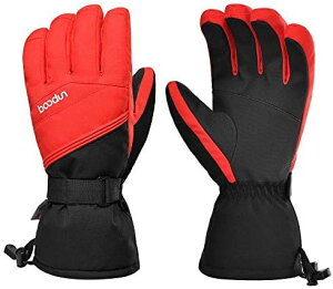 h XL[O[u h H  ~ ۉ ʋC oCN EB^[ oR V   