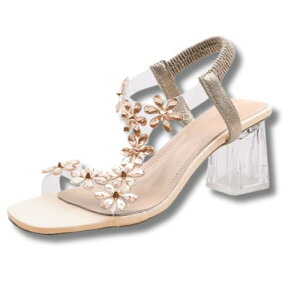 fB[X NAq[ T_ St Xgbv `L[q[ t[ ANZg l  r ~[ Lo 킢 NAT_ ₷ s 