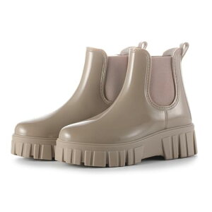 ꃌCu[c fB[X TChSA h y  ʋ ʊw IV Jp v[g