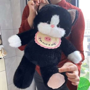 킢Lʂ  tt TCY65cm y GG qǂp Mtg v[g xr[h[  ᔽ A4TCY  Ƌ fR[V