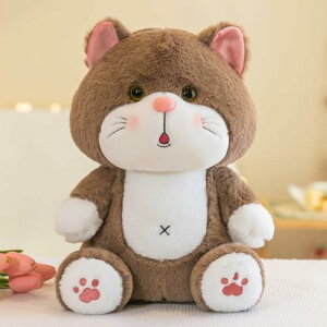 ӂӂLʂ  35cm Lbg v[g L  Vv NbV