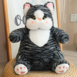 Lʂ  傫 Sn CeA _炩 NbV 30cm v[g q  