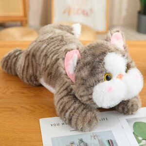 Lʂ  傫 Sn CeA _炩 NbV 30cm v[g q  