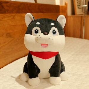 ʂ  킢 G ObY }XRbg Aj}  F ̂ʂ Vv CeA _炩GSnǂ  