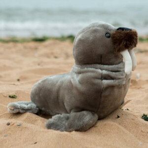 _炩ӂӂȃZCE`ʂ  NbV LN^[  Vv  v[g Ԃ  u 