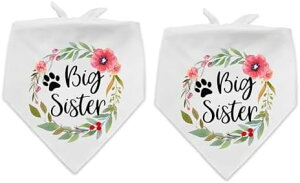 2 po_i ߉\Ȑ􂦂gCAO X^CAbv ybgt@bV ANZT[