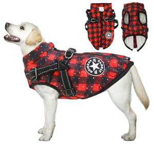 2024~̓o ̌^ȃR[g n[lXt wJ g h h   L  ^ ^ N LO Mtg