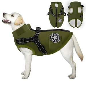 2024~̓o ̌^ȃR[g n[lXt wJ g h h   L  ^ ^ N LO Mtg