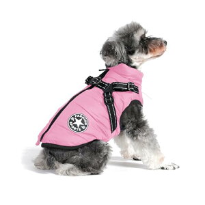 2024~̓o ̌^ȃR[g n[lXt wJ g h h   L  ^ ^ N LO Mtg