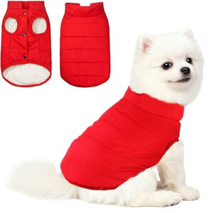  xXg h N  R[g  ~p ^ ^   Xibv{^ gȑf ʋ U Mtg