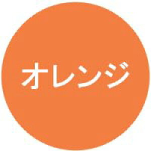 iPhone 17 Pro Max p MagSafeΉ P[X ACtH17v}bNX tJo[ 360°]X^h cpx [}C X}zP[X