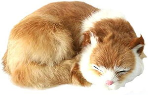 ̃ALʂ LDւ̑蕨 CeA fBXvCp i y